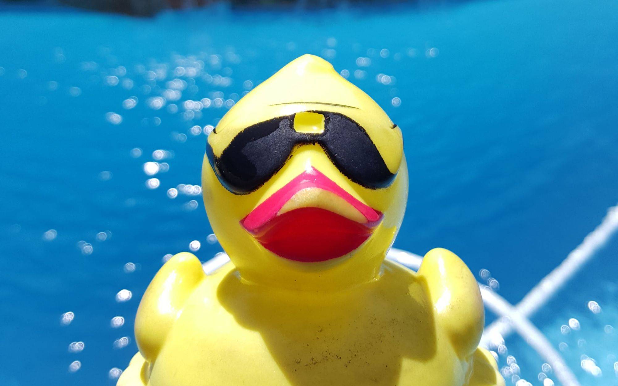 Clarity Pools Tx New (7)